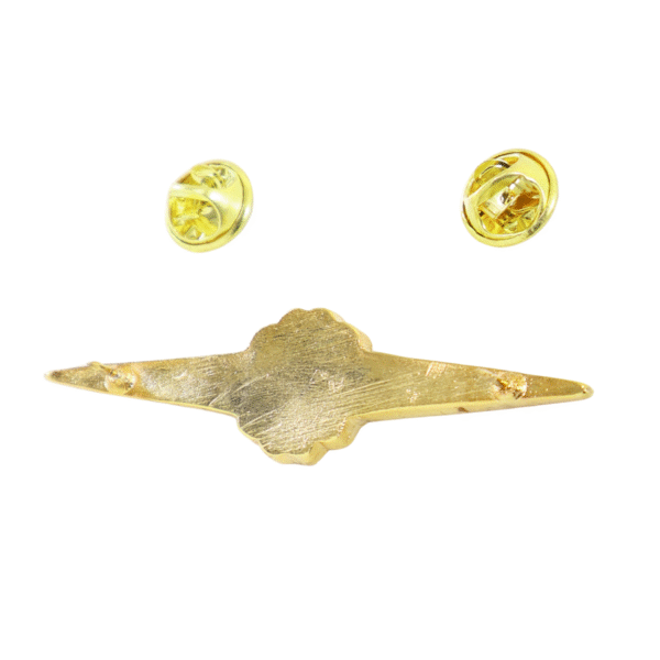 Broche Grande de Nossa Senhora Aparecida - Imagem 2